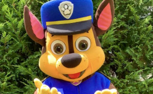 Rent Paw Patrol Characters Near Delaware