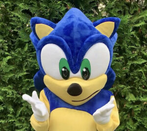 Hire Sonic for a Birthday Party