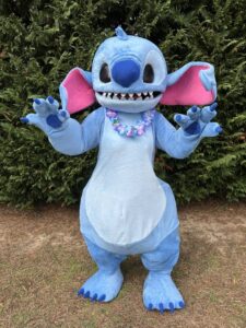 Rent Stitch for a Patrty